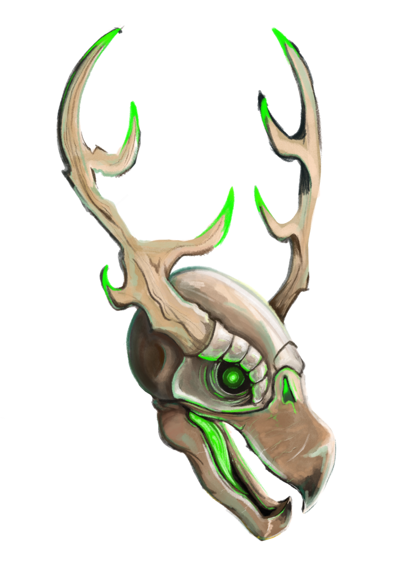 Antlered Bird Skull